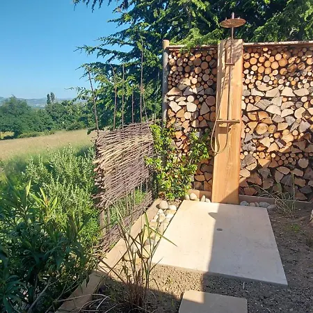 Wood & Chasselay
