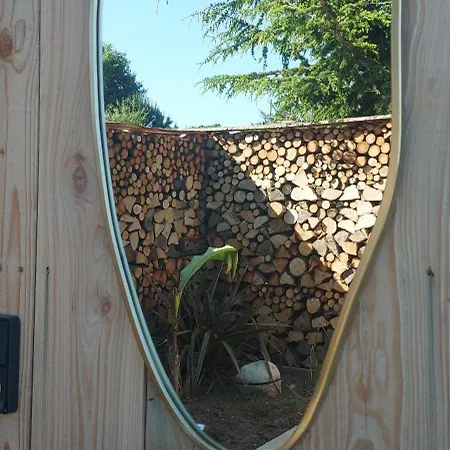 Wood & *