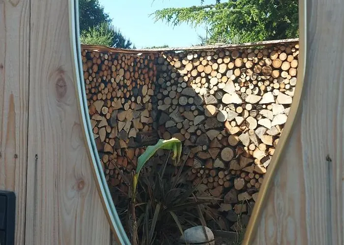 Wood & *